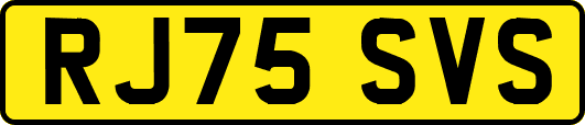 RJ75SVS