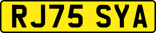 RJ75SYA