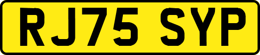 RJ75SYP