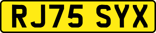 RJ75SYX