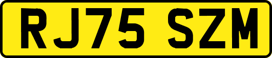 RJ75SZM