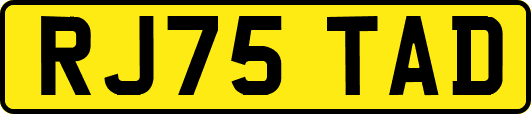 RJ75TAD