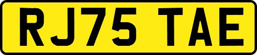 RJ75TAE