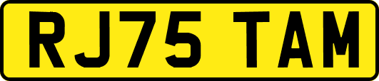 RJ75TAM