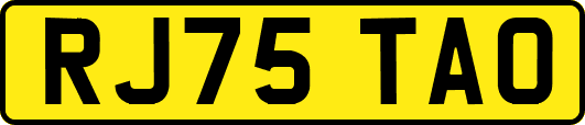 RJ75TAO