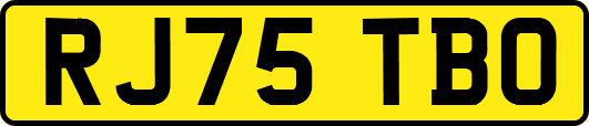 RJ75TBO