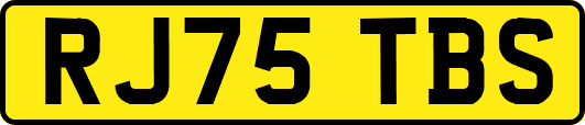 RJ75TBS