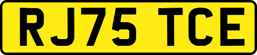 RJ75TCE