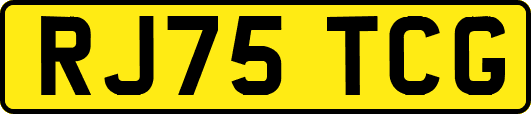 RJ75TCG