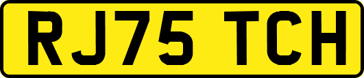 RJ75TCH