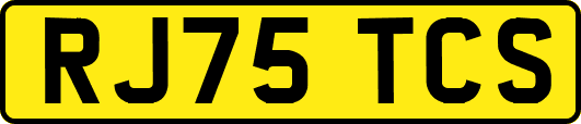 RJ75TCS