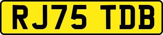 RJ75TDB