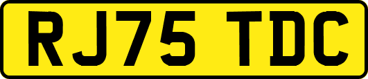 RJ75TDC