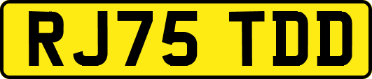 RJ75TDD