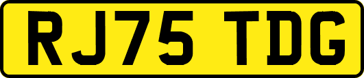 RJ75TDG