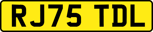 RJ75TDL