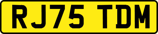 RJ75TDM