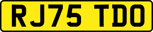 RJ75TDO
