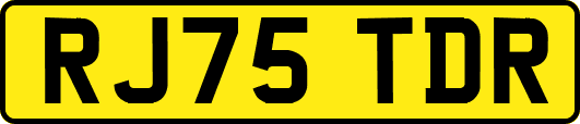 RJ75TDR