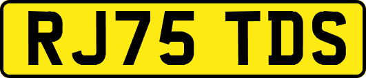 RJ75TDS