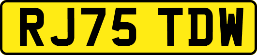 RJ75TDW