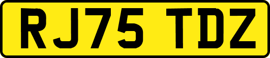 RJ75TDZ