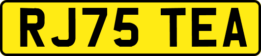 RJ75TEA