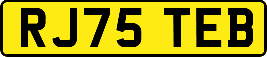RJ75TEB