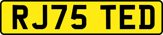 RJ75TED