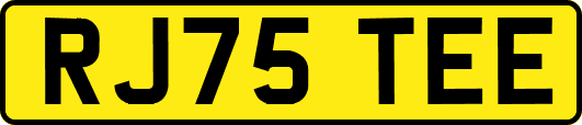 RJ75TEE
