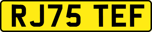 RJ75TEF