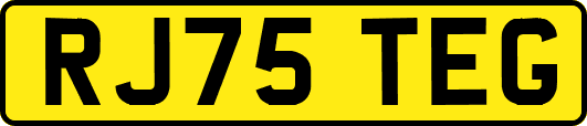 RJ75TEG
