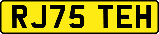 RJ75TEH