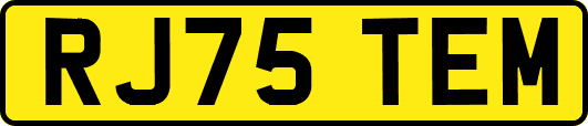 RJ75TEM