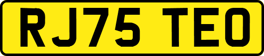 RJ75TEO