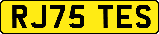 RJ75TES