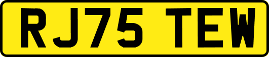 RJ75TEW