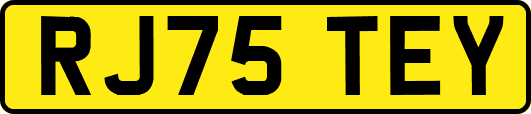 RJ75TEY