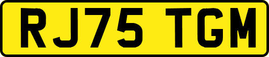 RJ75TGM