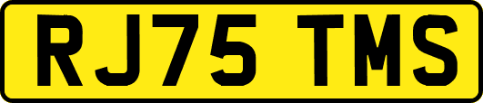 RJ75TMS