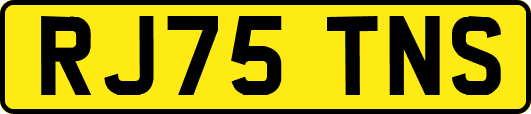 RJ75TNS