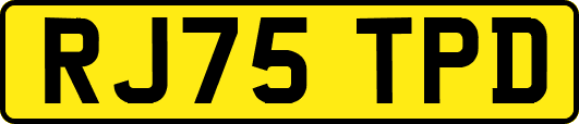 RJ75TPD