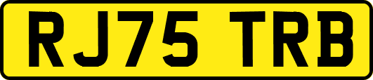 RJ75TRB