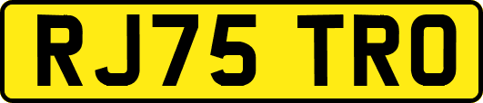 RJ75TRO