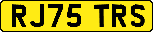 RJ75TRS