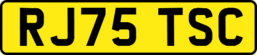 RJ75TSC