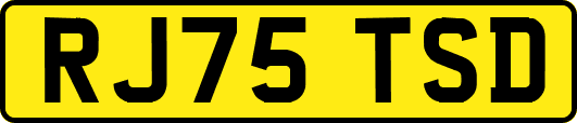 RJ75TSD