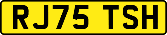 RJ75TSH