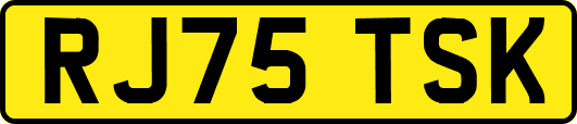 RJ75TSK