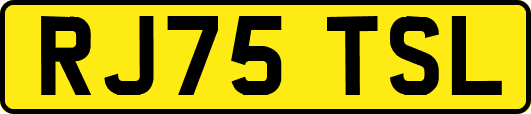 RJ75TSL